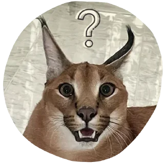 Sticker Floppa4_by_KOTIN - 7