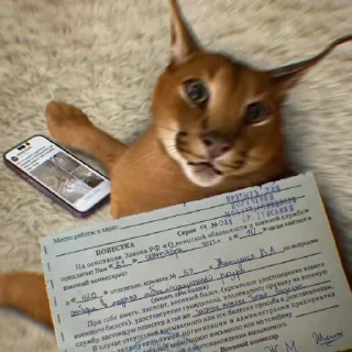 Sticker Floppa_by_KOTIN_and_BIGFLOPPA - 1