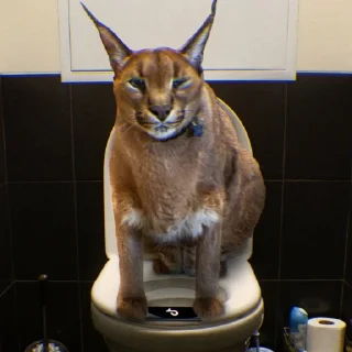 Sticker Floppa_by_KOTIN_and_BIGFLOPPA - 4