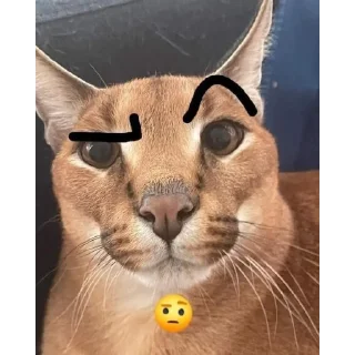 Sticker Floppa_by_KOTIN_and_BIGFLOPPA - 0