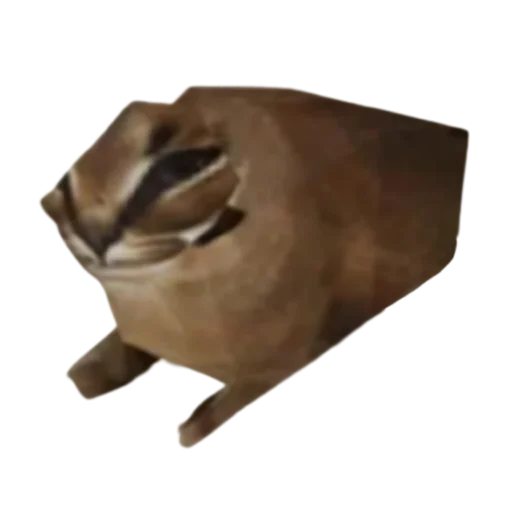 Sticker Floppa @DXXMSHXXPDEBIL - 5