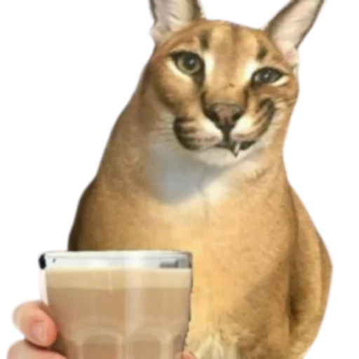 Sticker Floppa @DXXMSHXXPDEBIL - 2