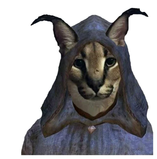 животное кошка млекопитающее