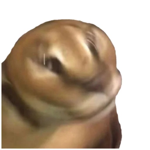 скриншот искусство