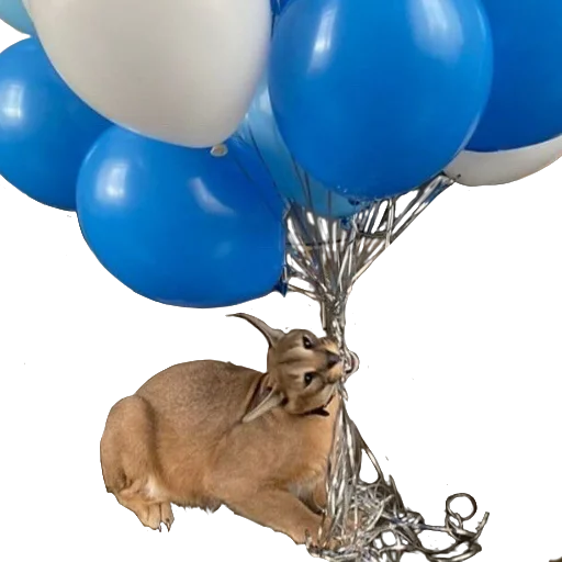 Стикер Floppa (Caracal) - 2