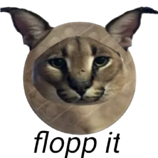 Стикер Floppa - 1