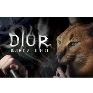 Стикер Floppa - 8