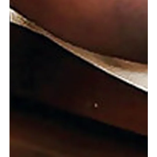 screenshot brown art