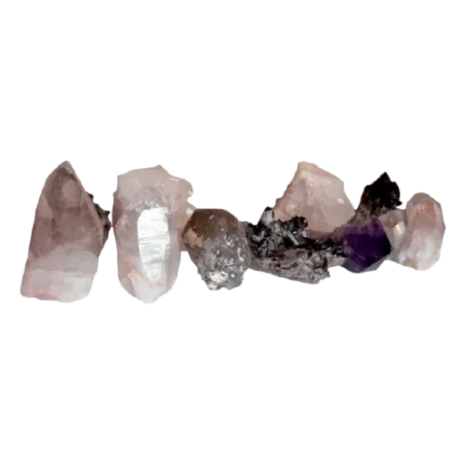 @FlorariumIdeas 🏹 :: @fStikBot - 