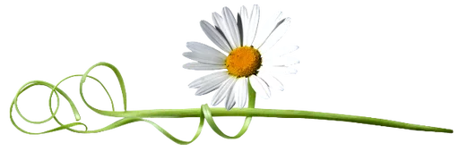 Sticker FloresbyHelena - 1