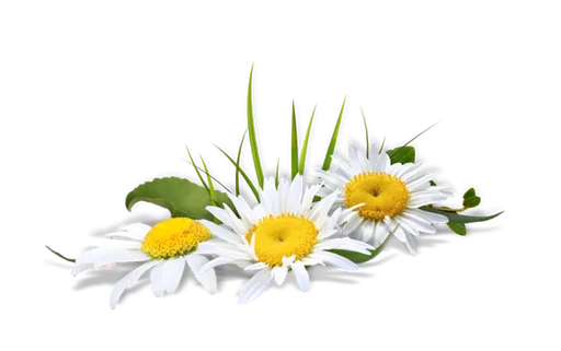 Sticker FloresbyHelena - 1