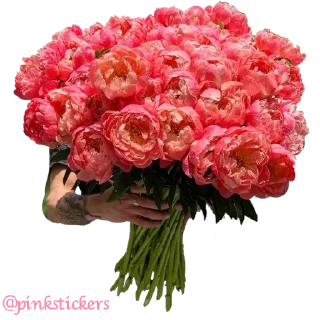 Sticker Flowers 🌸@pinkstickers🌸 - 1