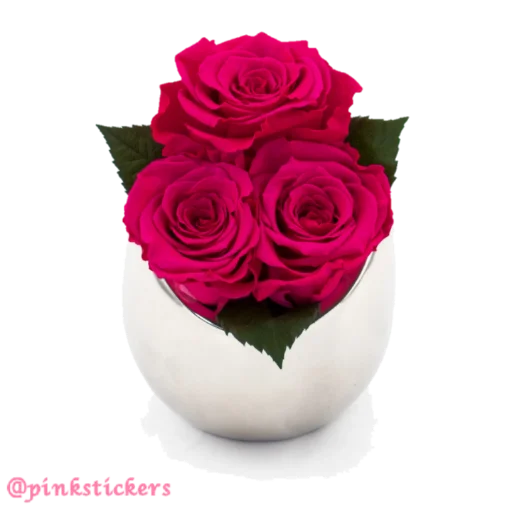 Sticker Flowers2Pinkstickers - 1