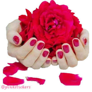 Sticker Flowers 🌸@pinkstickers🌸 - 11