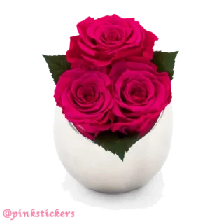 Sticker Flowers 🌸@pinkstickers🌸 - 2