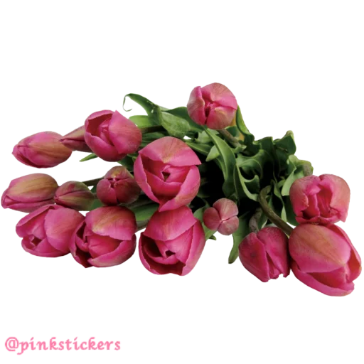 Sticker Flowers4Pinkstickers - 1