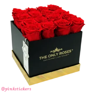 Sticker Flowers 🌸@pinkstickers🌸 - 11