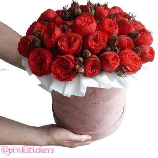 Sticker Flowers 🌸@pinkstickers🌸 - 2