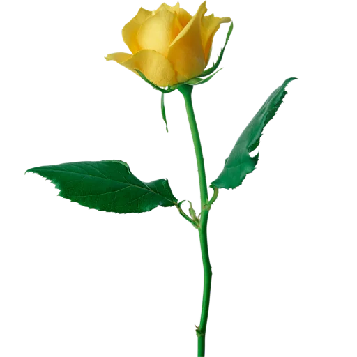 Стикер Flowers_Stickers - 1