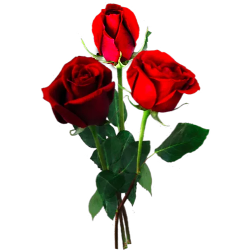 Sticker Flowers_Stickers - 1