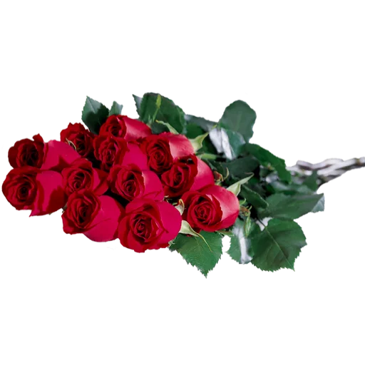 Sticker Flowers_Stickers - 1