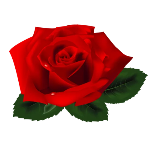 Sticker Flowers_Stickers - 1