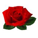 Sticker Цветы от @StickerManya - 0