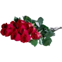 Sticker Цветы от @StickerManya - 8