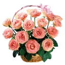 Sticker Цветы от @StickerManya - 5