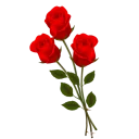 Sticker Цветы от @StickerManya - 11