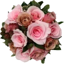 Sticker Цветы от @StickerManya - 6