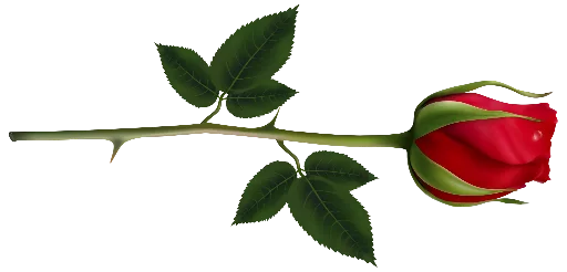 Sticker Flowersbyodi - 1