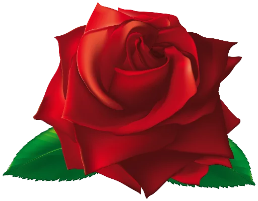 Sticker Flowersbyodi - 1