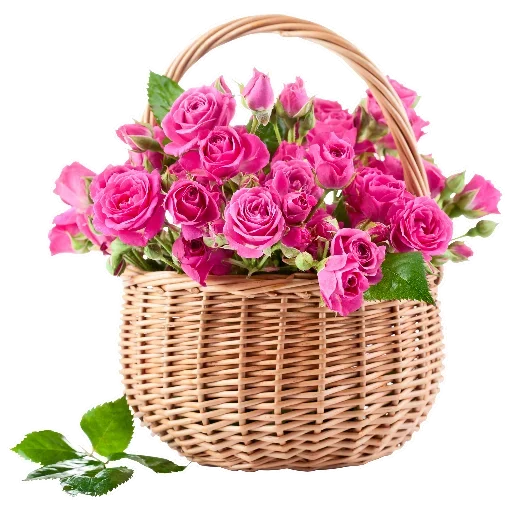 Flowers for Lovely Girl @stickerus - 