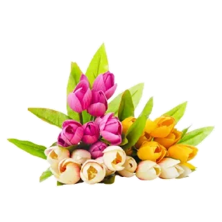 cartoon human face fictional character