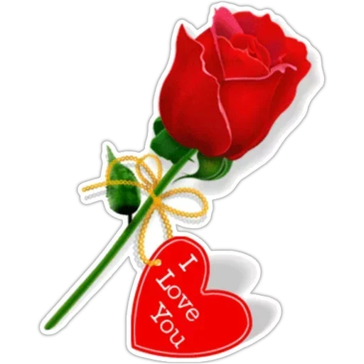 Flowers for my girl @stickerus - 