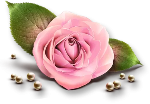 Sticker Flowers for my girl @stickerus - 7