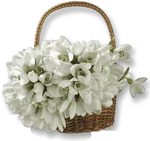 Sticker Flowers for my girl @stickerus - 5