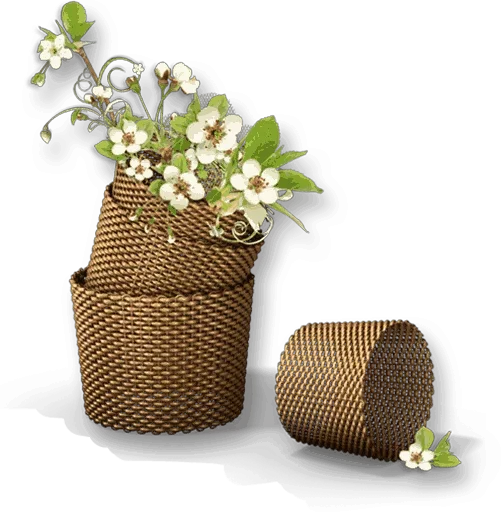 Sticker Flowers for my girl @stickerus - 4