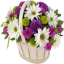 Sticker Цветы @StikerDi - 6