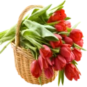 Sticker Цветы @StikerDi - 1