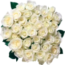 Sticker Цветы @StikerDi - 7