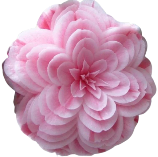 Sticker @uicosplay <-- cosplay channel - 11