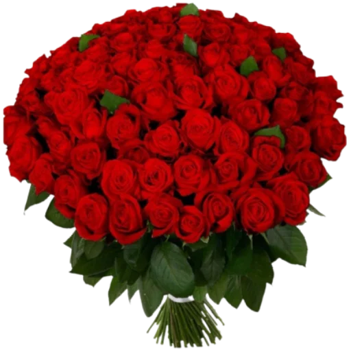 Sticker @uicosplay <-- cosplay channel - 10