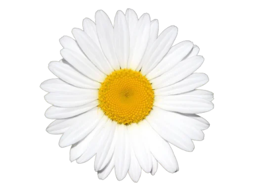 Sticker @uicosplay <-- cosplay channel - 9