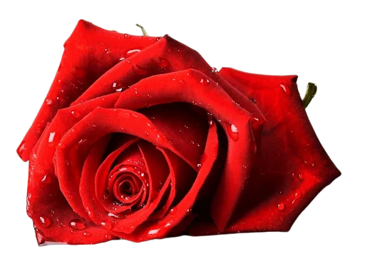 Sticker @uicosplay <-- cosplay channel - 8