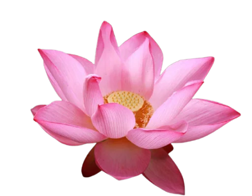 Sticker @uicosplay <-- cosplay channel - 7