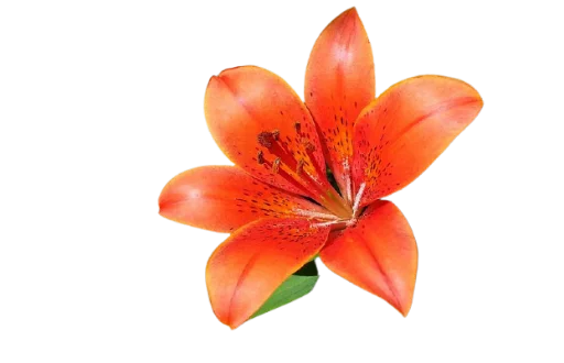 Sticker @uicosplay <-- cosplay channel - 5