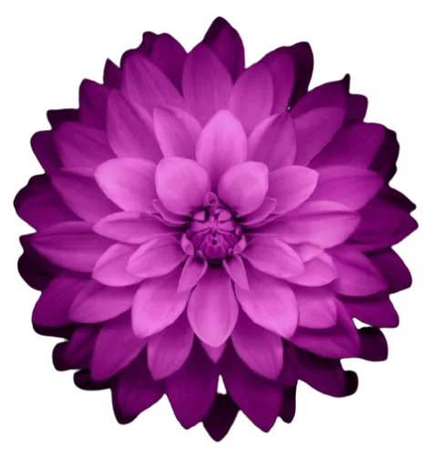 Sticker @uicosplay <-- cosplay channel - 4