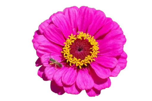 Sticker @uicosplay <-- cosplay channel - 2